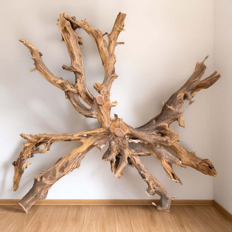 Genuine Cedar Wood Root Wall Divider
