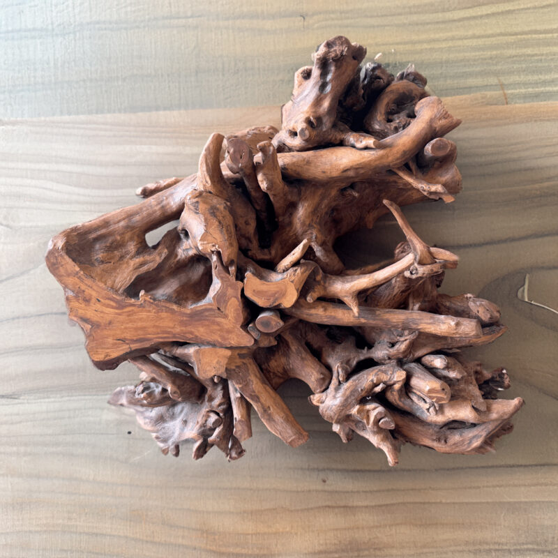 Cedar Wood Root Coffee Table