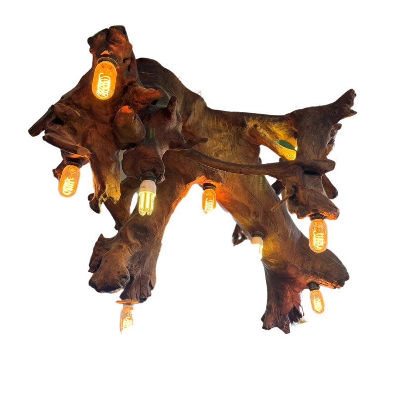 Genuine Cedar Wood Root Lamp - Image 2