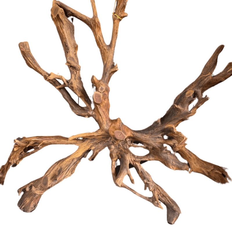 Genuine Cedar Wood Root Wall Divider - Image 3