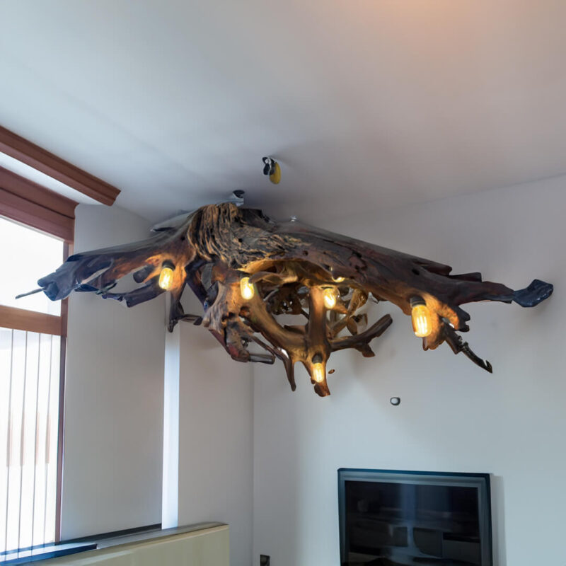 Mahogany Root Ceiling Lamp