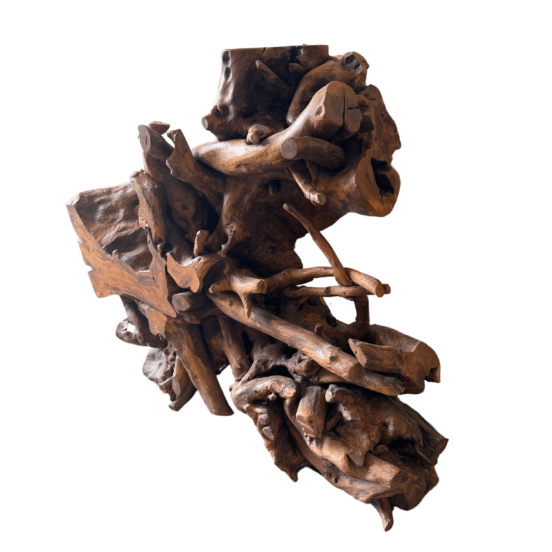 Cedar Wood Root Coffee Table - Image 2
