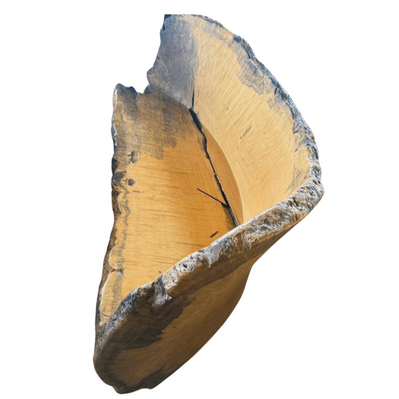 White Guanacaste Wood Armchair - Image 4