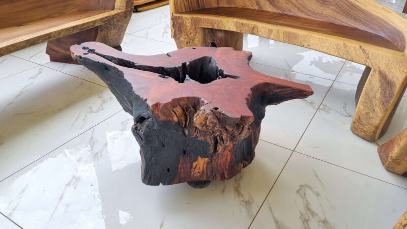 Quebracho Wood Coffee Table - Image 2